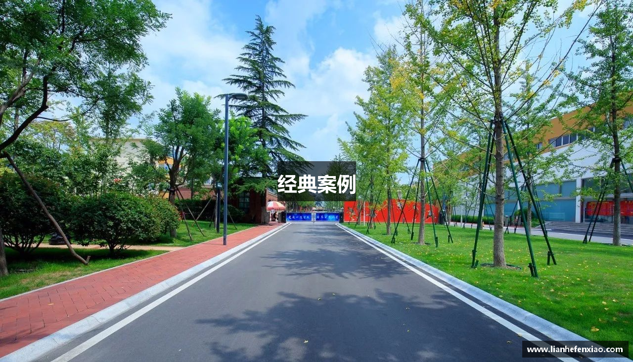 经典案例
